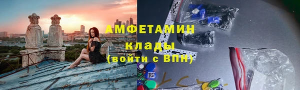 ГАЛЛЮЦИНОГЕННЫЕ ГРИБЫ Ладушкин