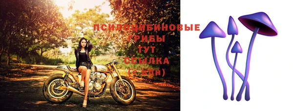 не бодяженный Лабытнанги