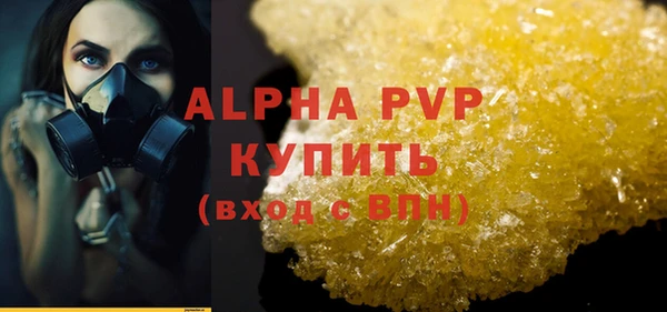 ГАЛЛЮЦИНОГЕННЫЕ ГРИБЫ Ладушкин
